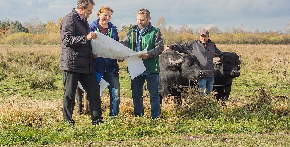 Bürgermeister, Landwirtin und der Geschäftsführer der ARGE Schwäbisches Donaumoos stehen auf einer Weide im Moor. Sie halten eine Landkarte. Im Hintergrund ist ein Landwirt mit seinen Wasserbüffeln und zu sehen.